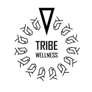 Tai Chi Tribe Wellness, Dallas Tx, Klyde Warren Park, Klyde Warren Park